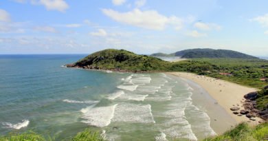 HISTÓRIA DA ILHA DO MEL HISTÓRIA DA ILHA DO MEL